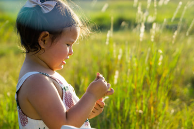 little girl looking at flower in field