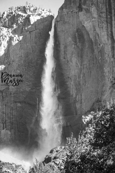 Lower Yosemite waterfall in black and white